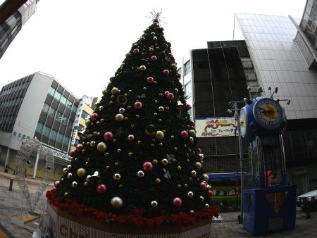 a0027641_8453920.jpg