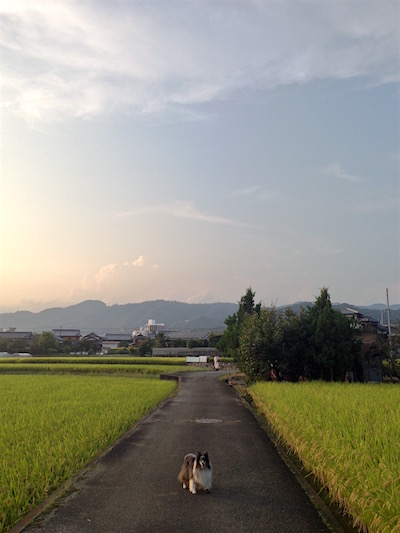 c0227245_0571767.jpg