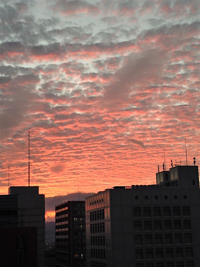 c0227245_113275.jpg