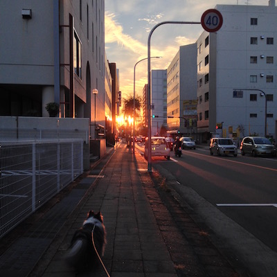 c0227245_121710.jpg