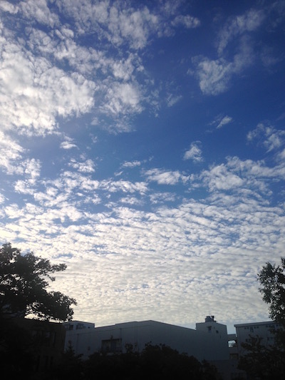 c0227245_155376.jpg