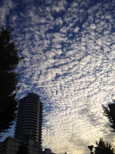 c0227245_162633.jpg