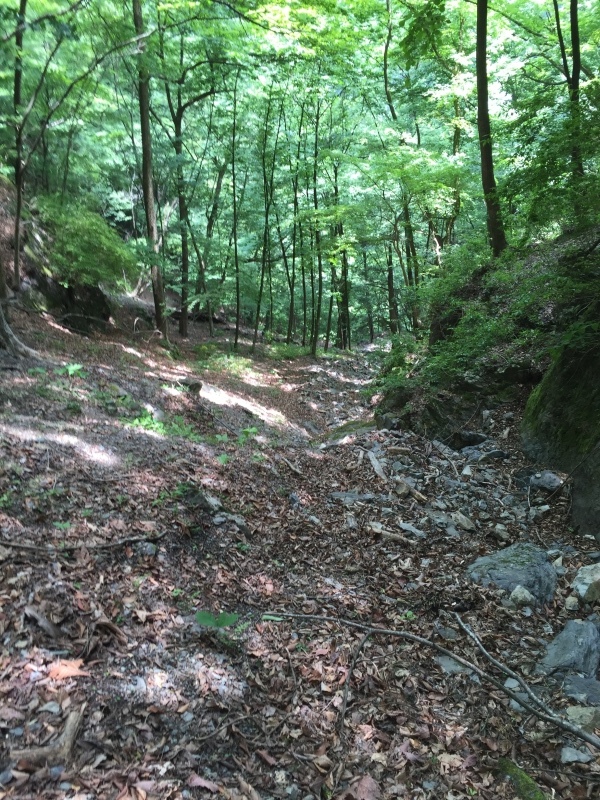 b0364549_19501412.jpg