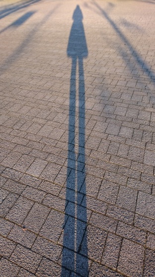 d0347253_17565580.jpg
