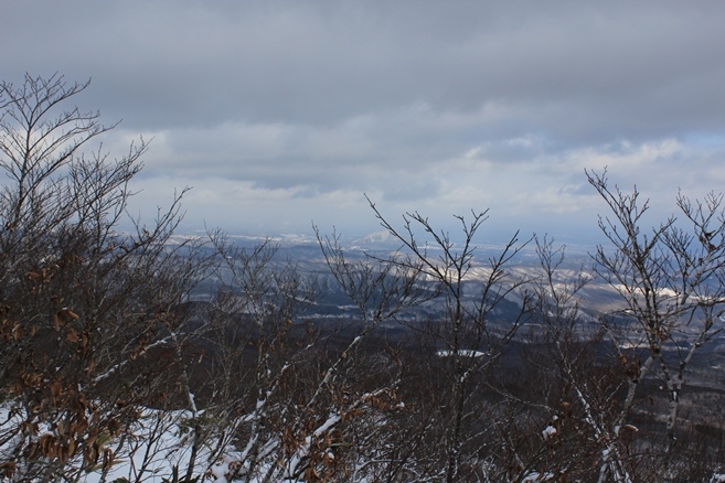 e0239458_19311541.jpg