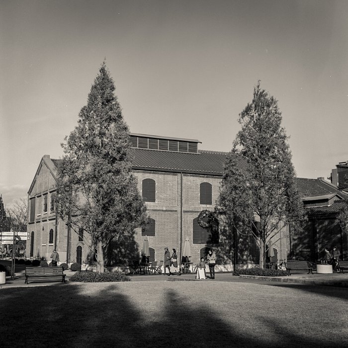 b0175964_2138467.jpg
