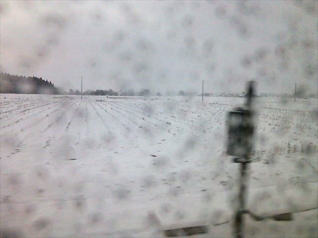 d0028665_16481692.jpg