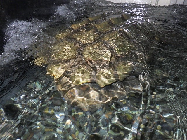 c0105569_2116100.jpg