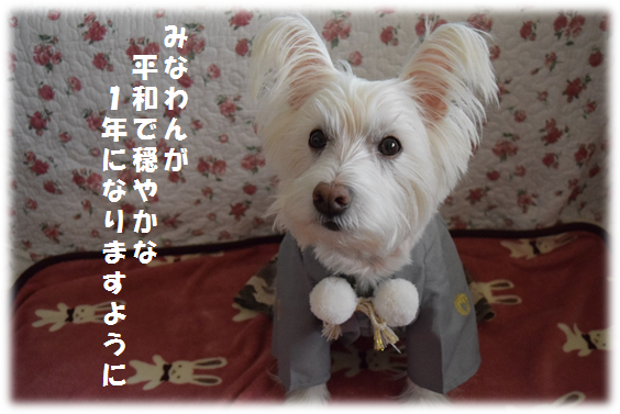 b0242873_10285210.png