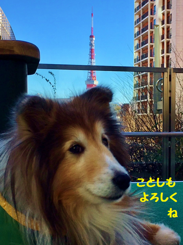 a0157174_18534955.png