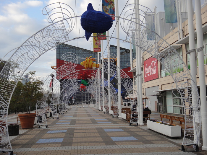 f0238779_17381827.jpg