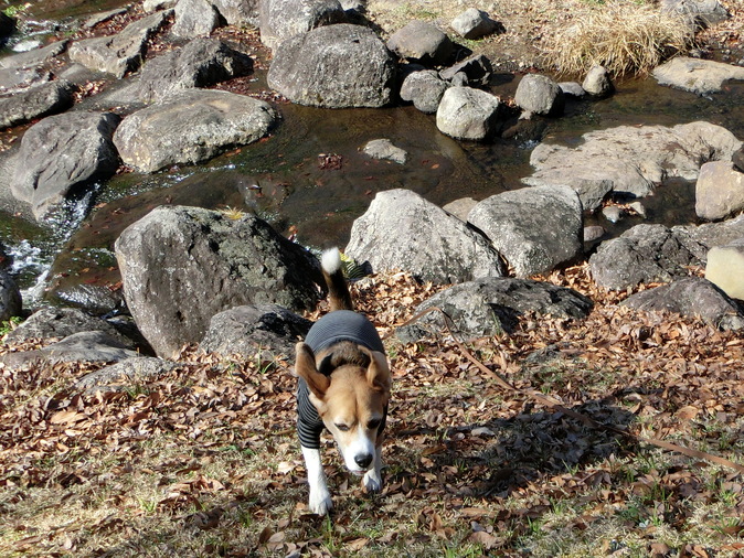 a0319693_913280.jpg