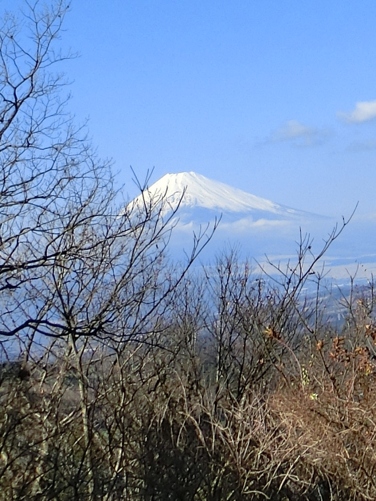 a0319693_925984.jpg