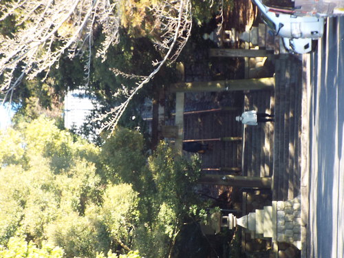 c0108198_16332124.jpg