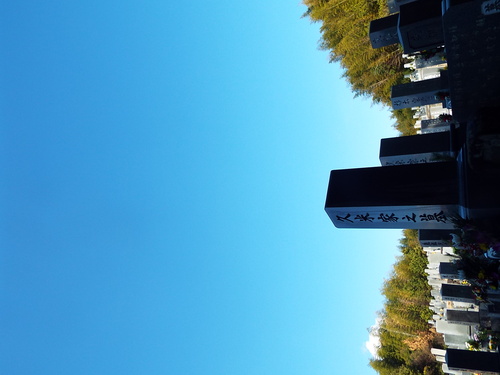 c0108198_16342476.jpg