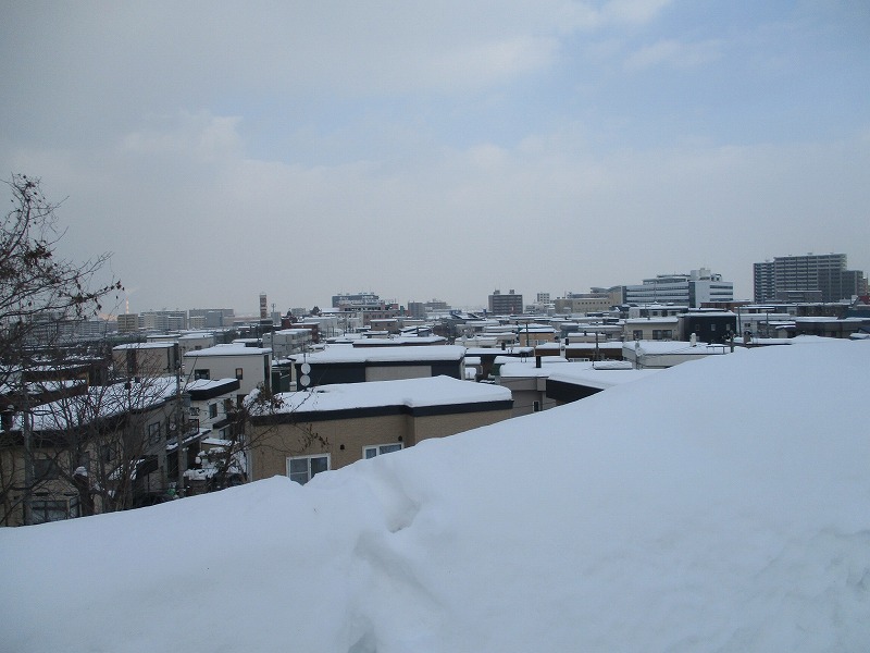 f0202703_22105657.jpg