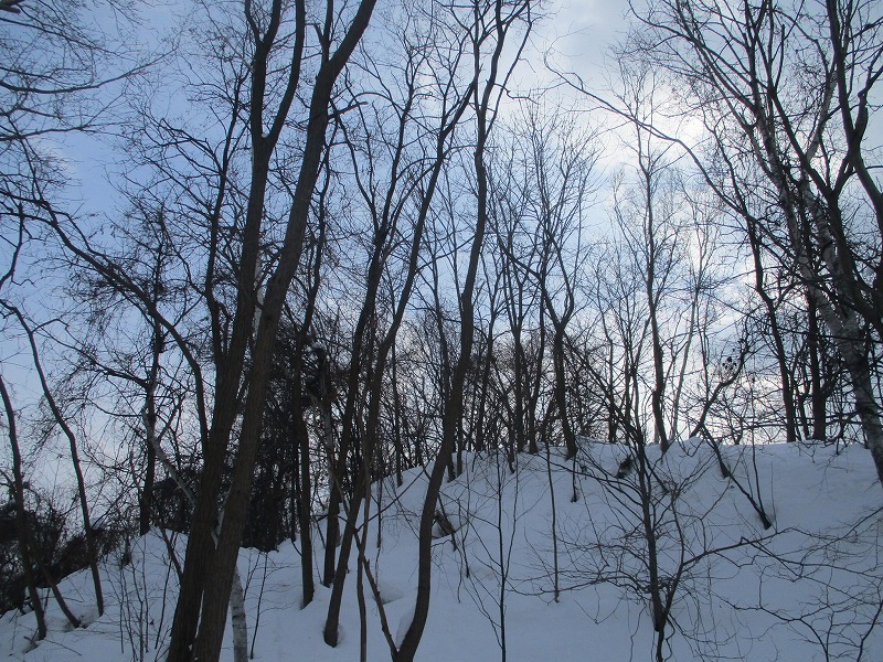 f0202703_22122828.jpg