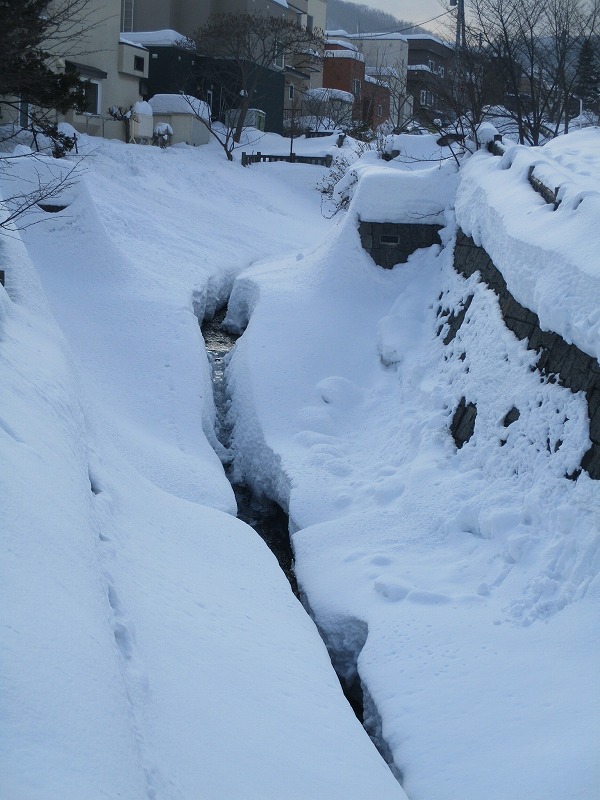 f0202703_22131527.jpg