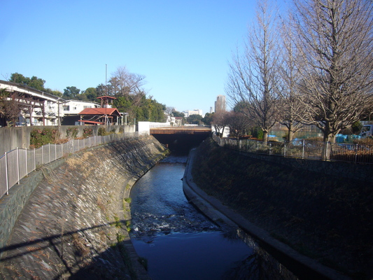 e0358504_22325429.jpg