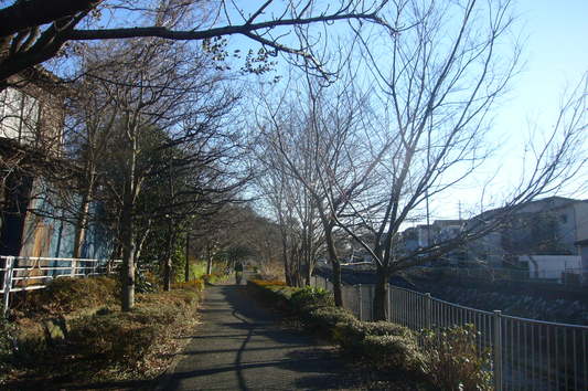 e0358504_22332516.jpg