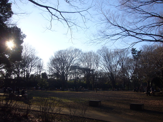 e0358504_22343991.jpg