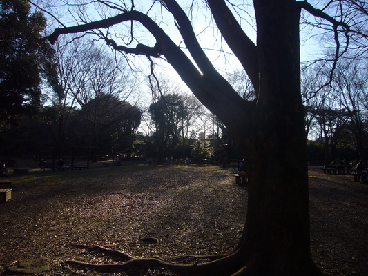 e0358504_2235312.jpg