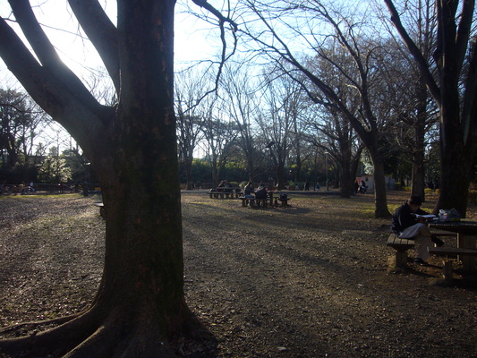 e0358504_2240547.jpg