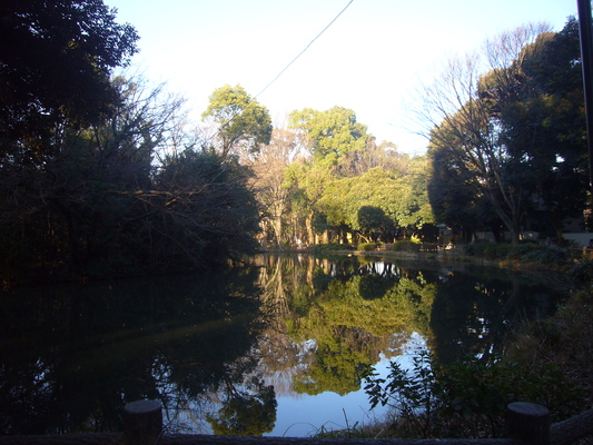 e0358504_22411272.jpg