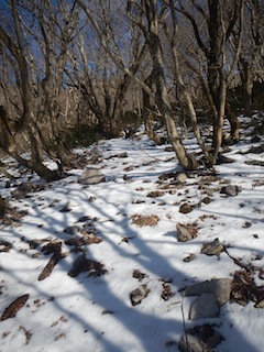c0359615_22241857.jpg