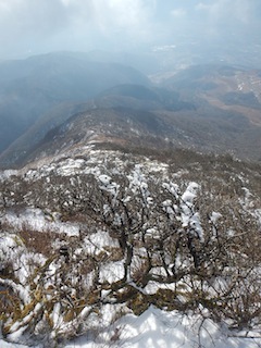 c0359615_22250531.jpg