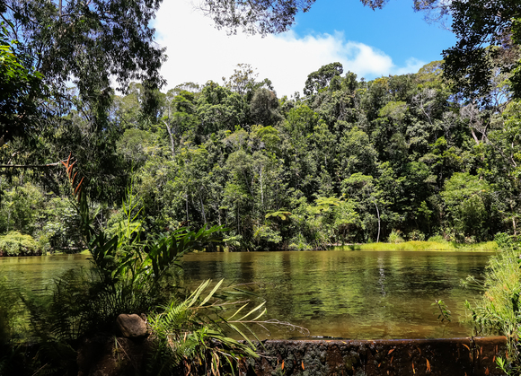 f0363618_11152588.jpg