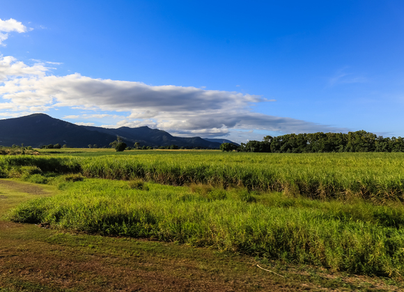 f0363618_11183218.jpg
