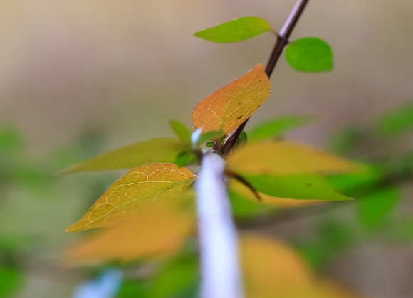 f0363618_11423542.jpg