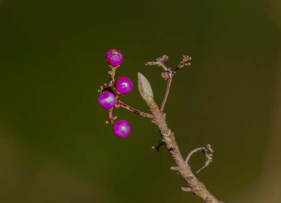 f0363618_11474674.jpg
