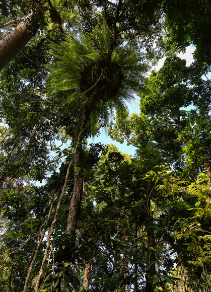 f0363618_1164116.jpg