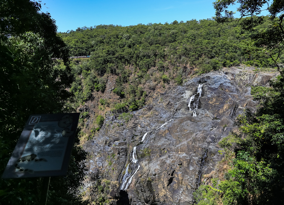 f0363618_1175192.jpg