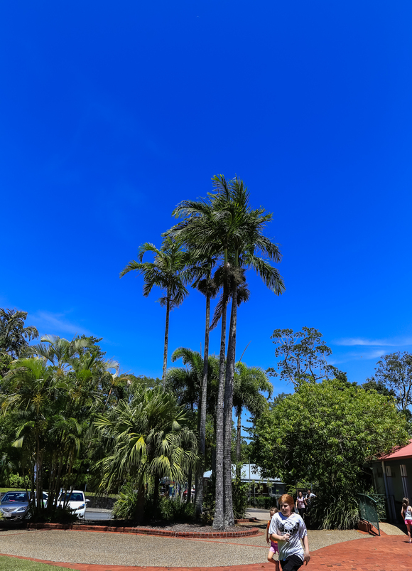 f0363618_119566.jpg