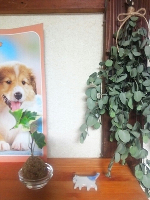 f0329129_20011697.jpg