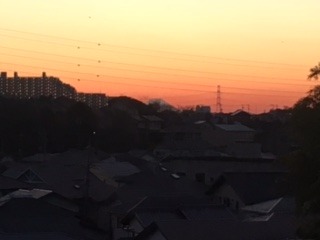 b0040332_20234738.jpg