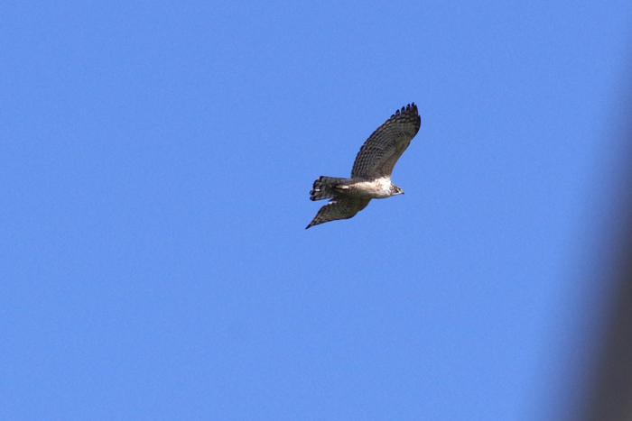b0247838_9211637.jpg