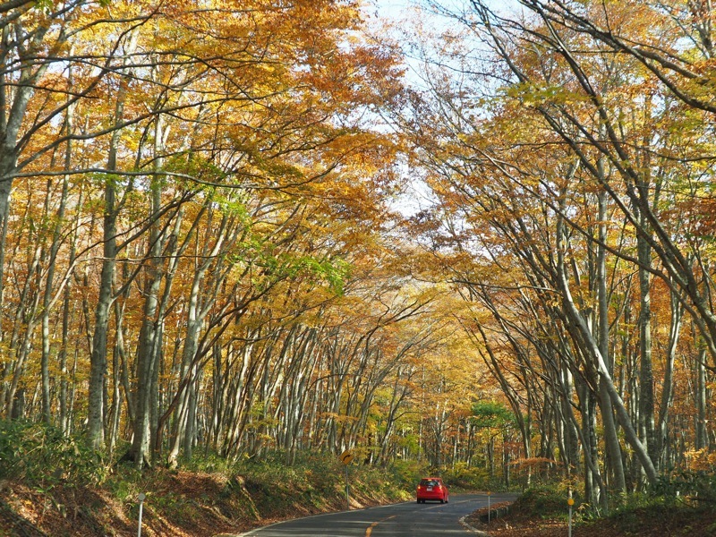 f0169147_21130130.jpg