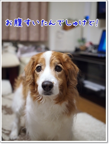 d0013149_00380596.jpg