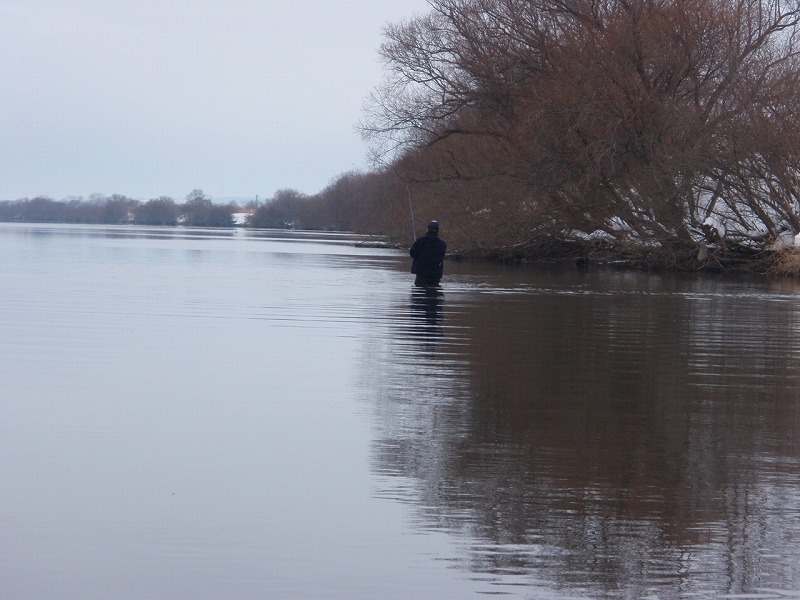 c0097652_1016180.jpg