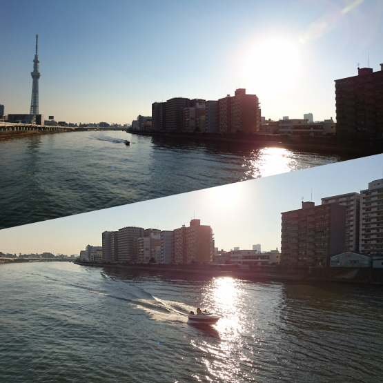 d0347253_19560771.png