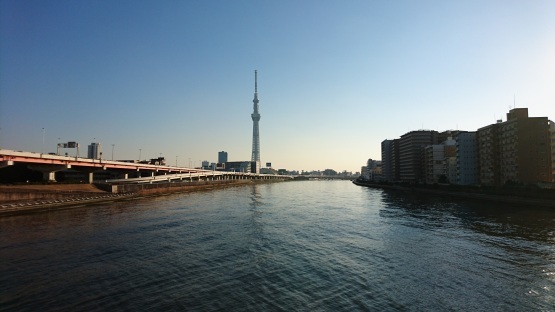 d0347253_19574327.jpg