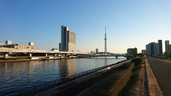 d0347253_20292678.jpg