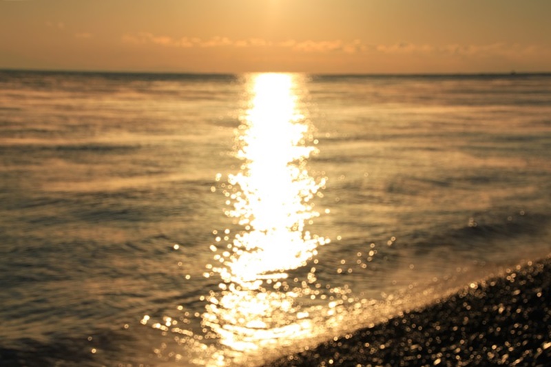 a0167759_0383100.jpg