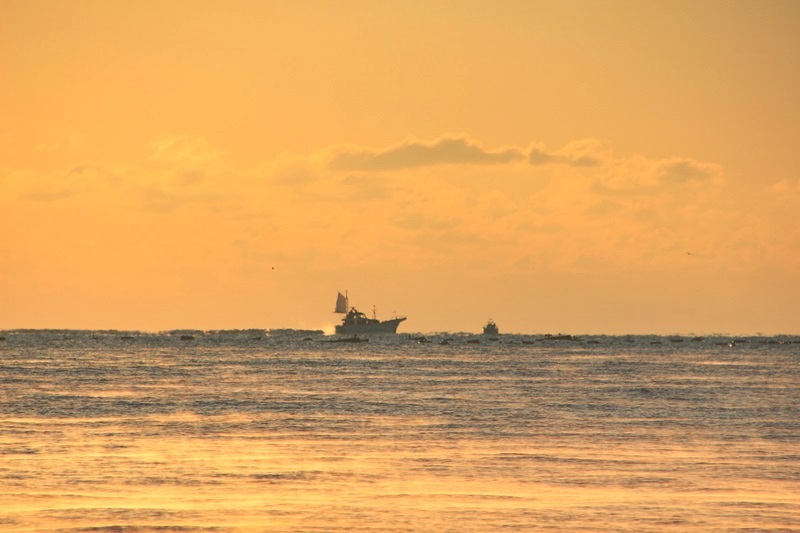 a0167759_039037.jpg