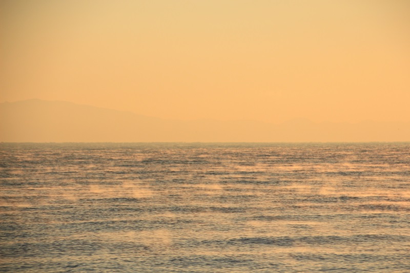 a0167759_0413148.jpg
