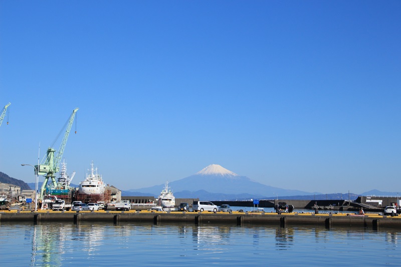 a0167759_11491056.jpg